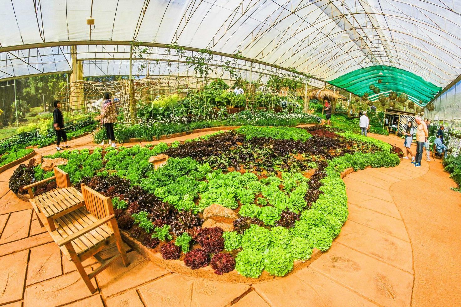 giardino botanico a doi ang khang, chiang mai, thailandia foto