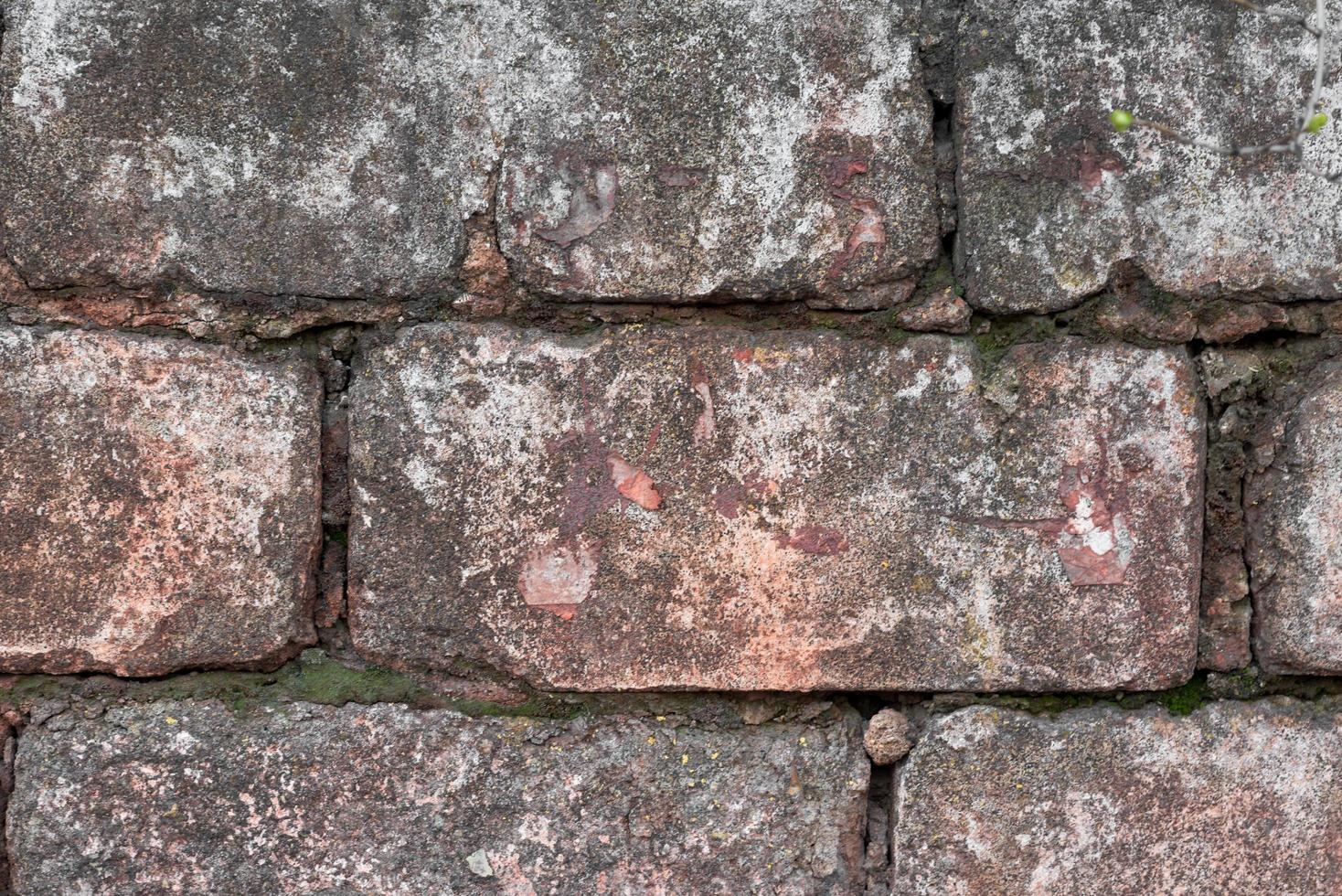 vecchio muro di mattoni da vicino foto