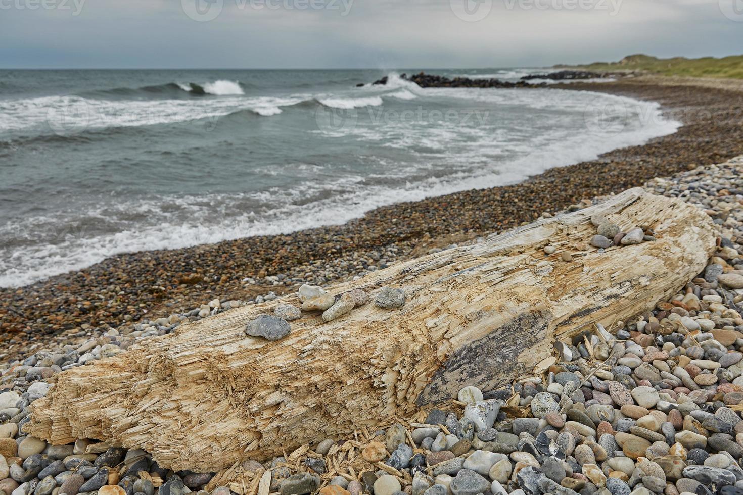 mare e paesaggio vicino alla città di skagen in danimarca foto