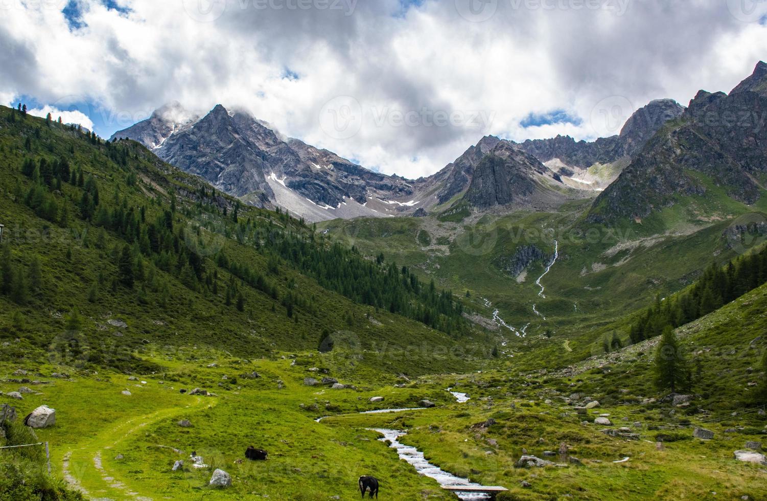 valle verde in tirolo foto