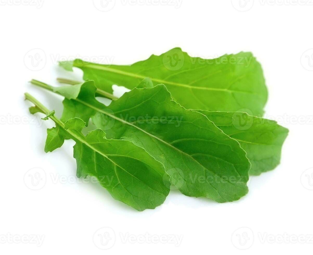 rucola insalata . foto