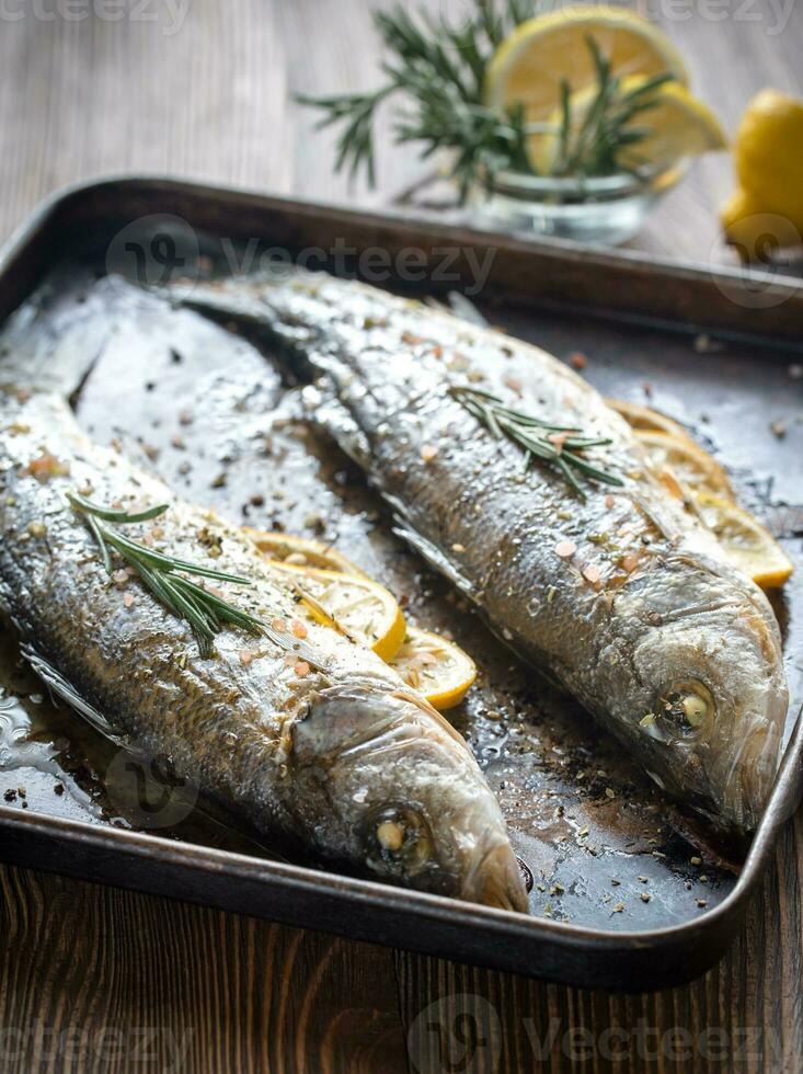 al forno mare basso con Limone e rosmarino foto