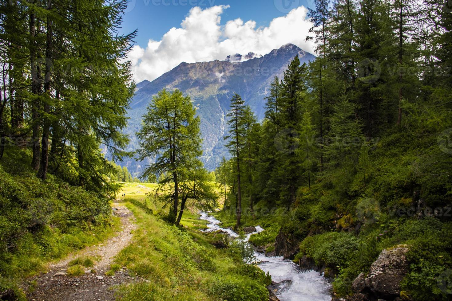 paesaggio nelle alpi dell'alto adige foto