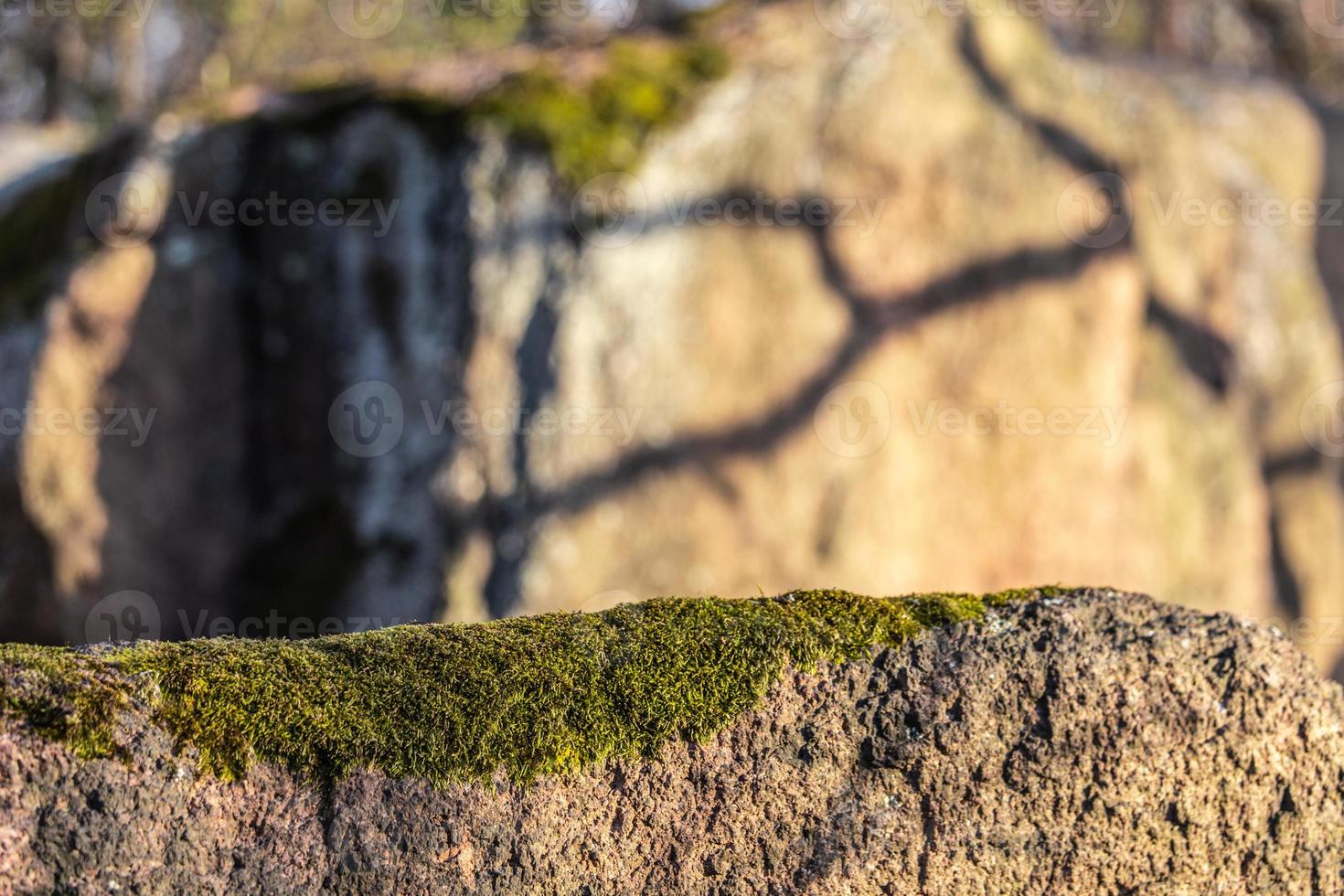 muschio coperto di roccia di pietra in una calda giornata di sole foto