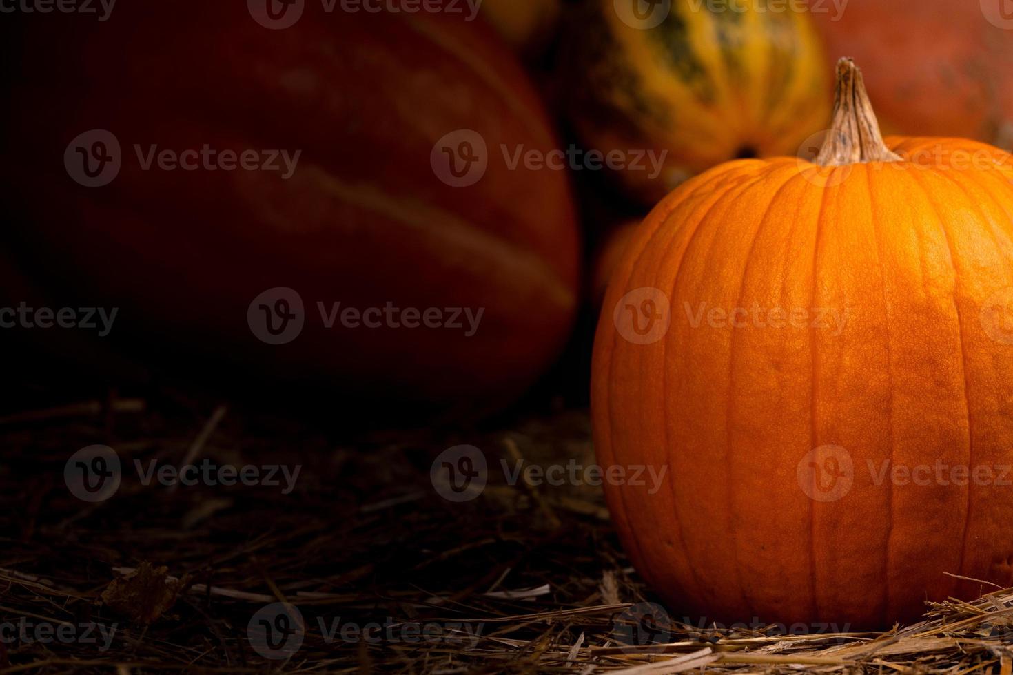 grande arancia fresca di zucca sul fieno foto