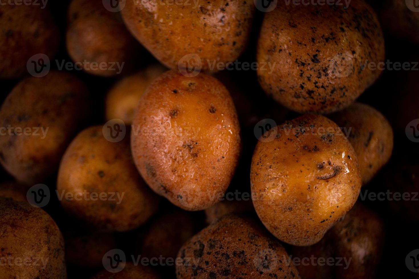 primo piano astratto sfondo testurizzato di patate fresche bagnate foto