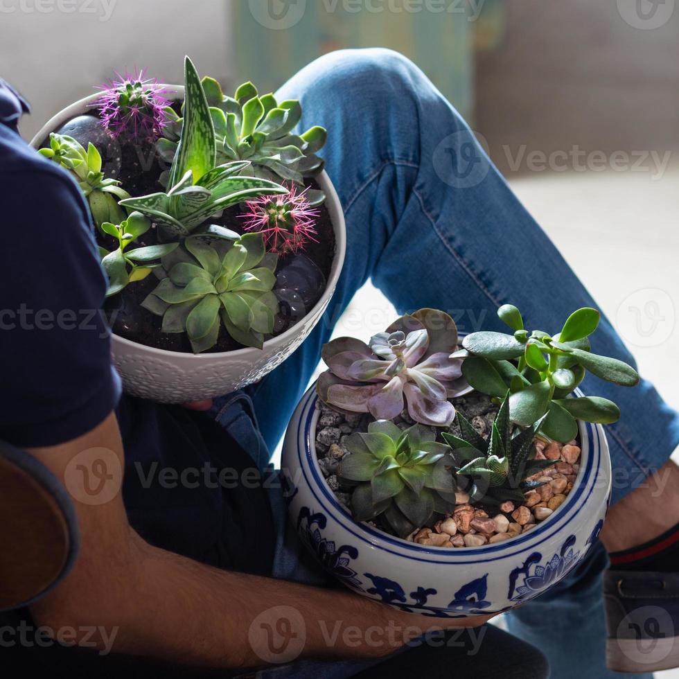 uomo con 2 terrari con succulenti fiori di cactus sabbia di roccia all'interno del vaso foto