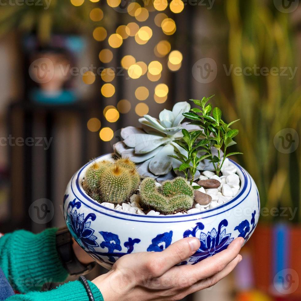 uomo che tiene la pianta del terrario con sfondo bokeh di fondo foto