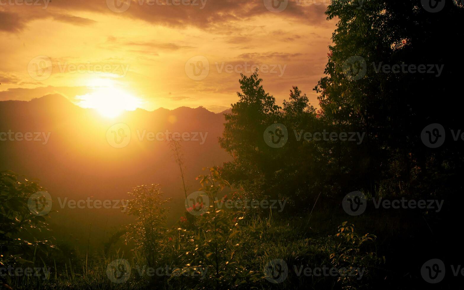 tramonto nel bosco con montagna e tramonto nel il sfondo foto