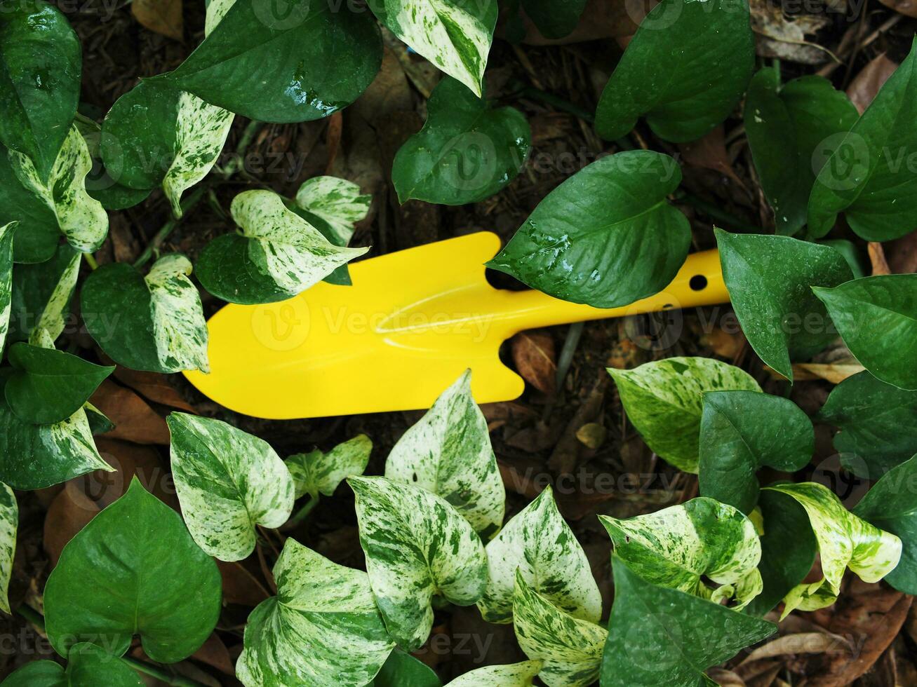 suolo cucchiaio e colorato per giardino lavoratore foto