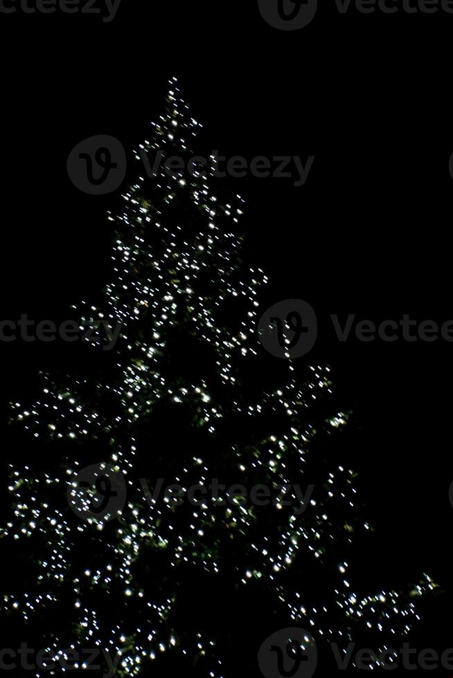 sfocato luci illuminante il Natale albero su un' nero sfondo foto