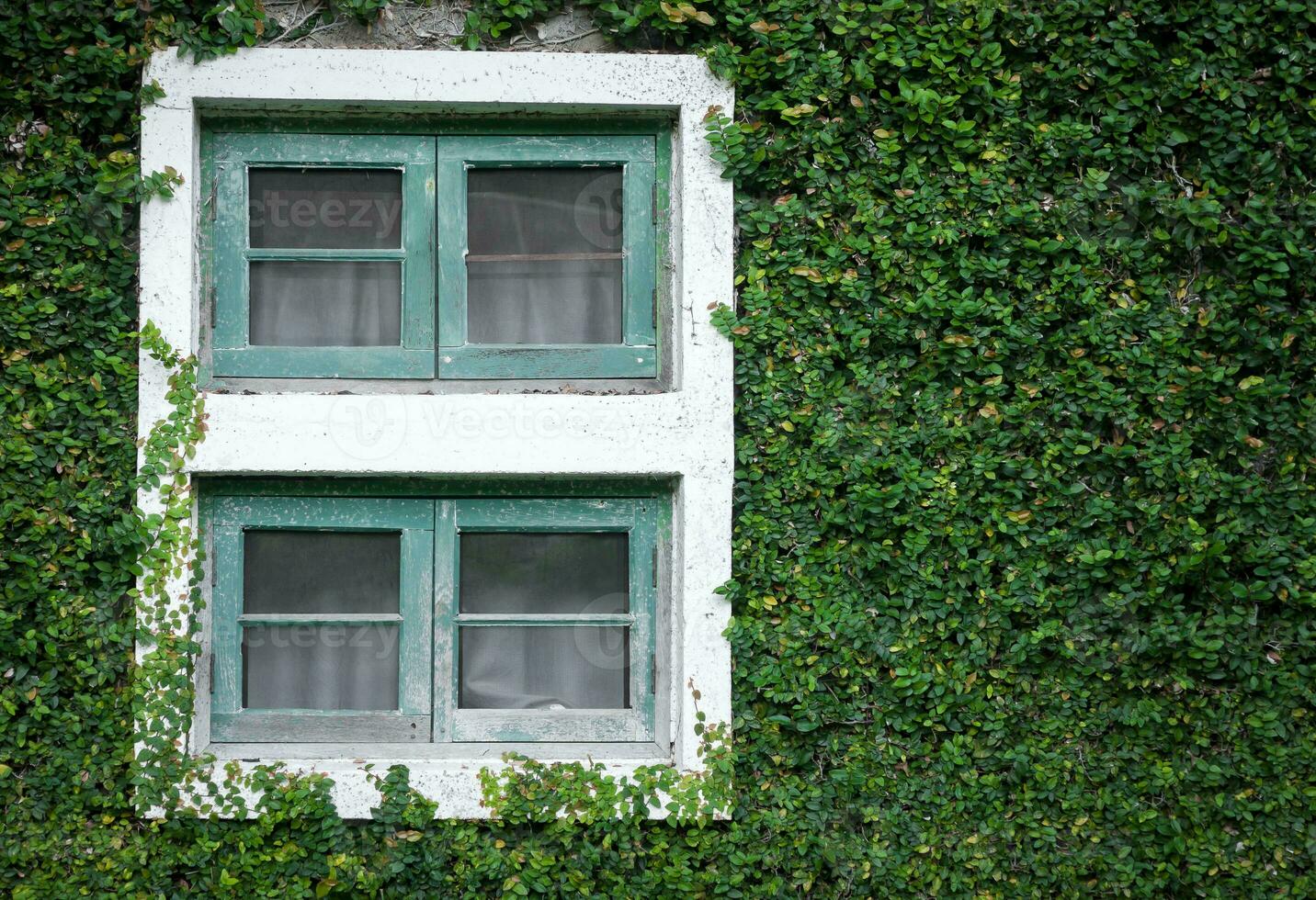 vecchio finestre e verde erba foto