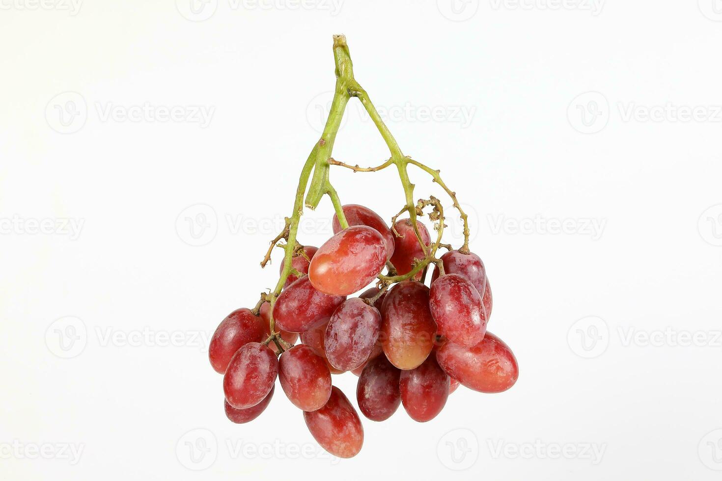 rosso uva mazzo foto