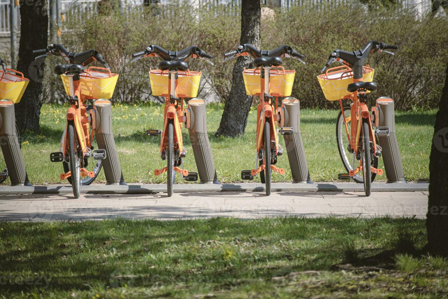 arancia biciclette in piedi nel un' riga per noleggio su marciapiede fra prati foto