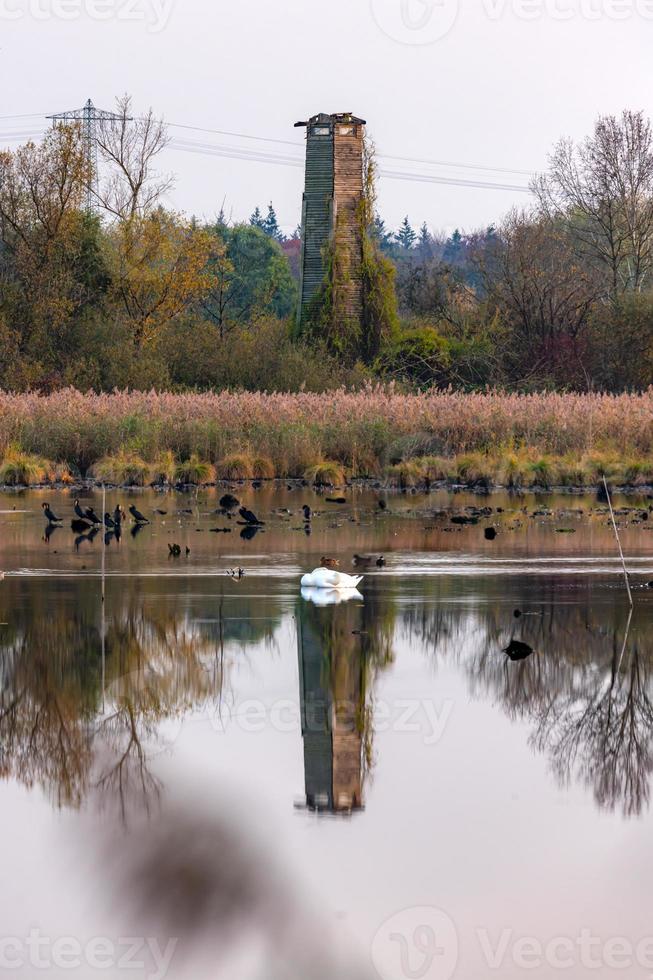 torre di osservazione in una riserva naturale con riflesso in un lago foto