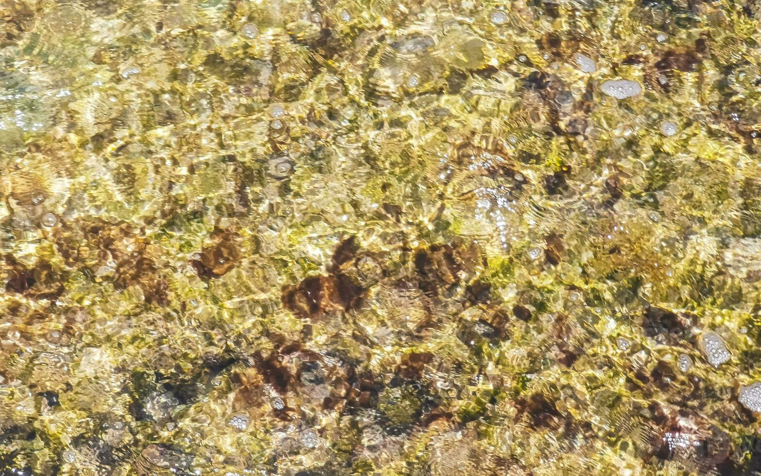 pietre rocce coralli turchese verde blu acqua su spiaggia Messico. foto