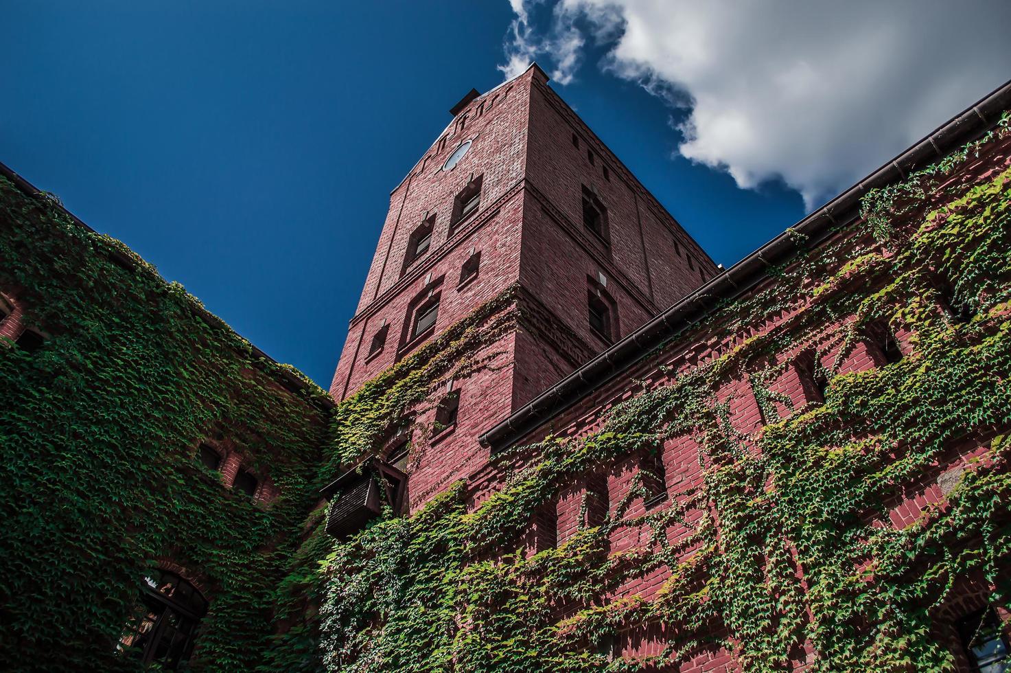 torre rossa del vecchio castello, ucraina foto