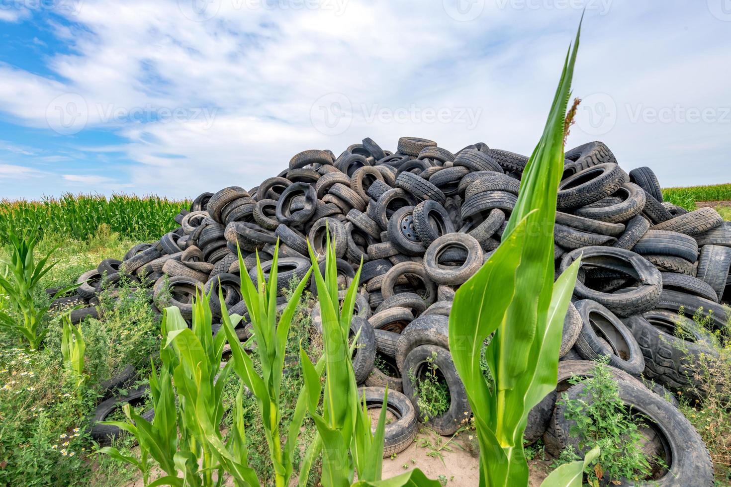 vecchi pneumatici per auto rotti ammucchiati su una montagna in un campo di grano foto