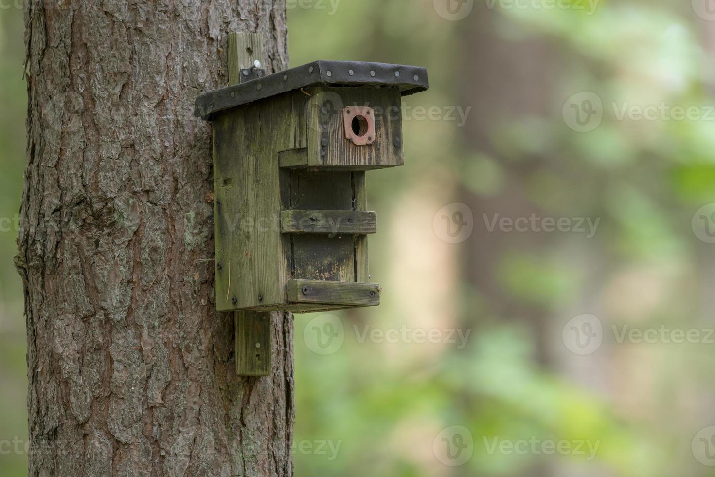 vecchia scatola di nidificazione degli uccelli fatta in casa si blocca su un albero foto