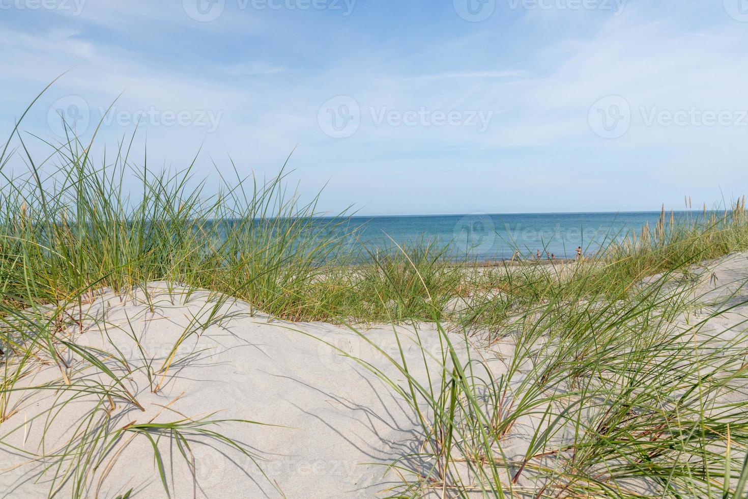 costa tedesca del Mar Baltico con dune di sabbia erba acqua e cielo foto