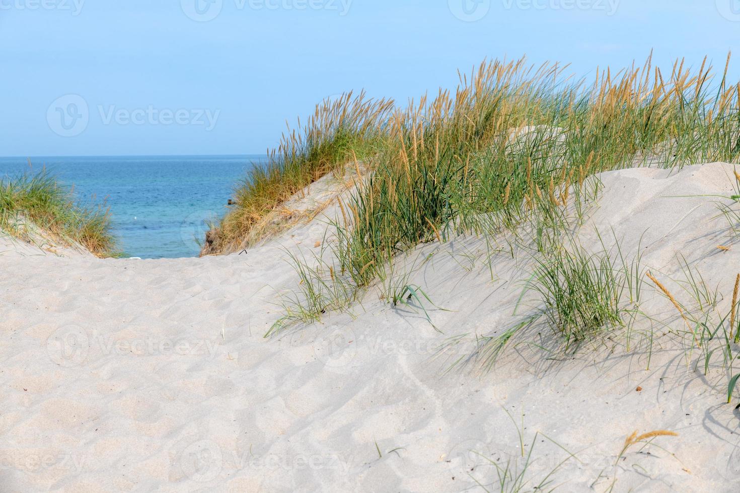 costa tedesca del Mar Baltico con dune di sabbia erba acqua e cielo foto