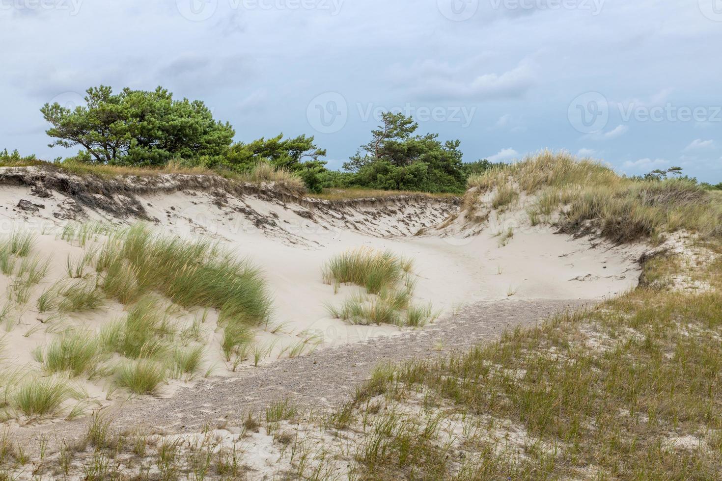 costa tedesca del Mar Baltico con dune di sabbia erba acqua e cielo foto