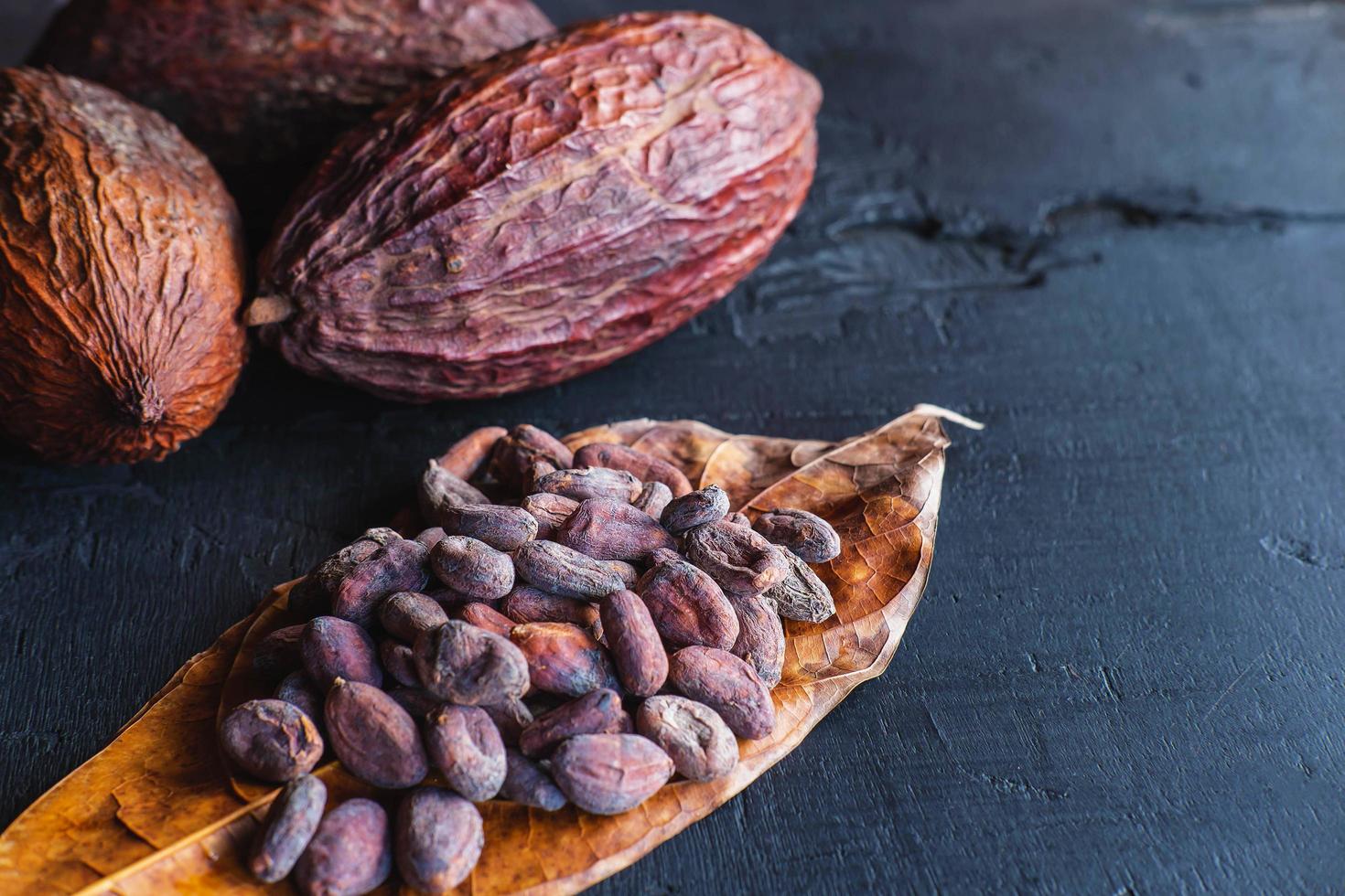 fave di cacao essiccate e cacao essiccato foto