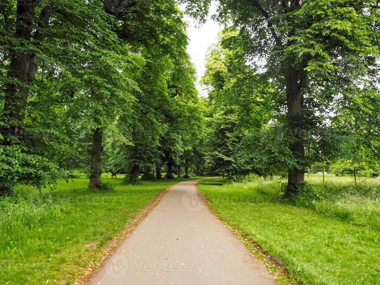 vicolo del paese inglese in primavera foto