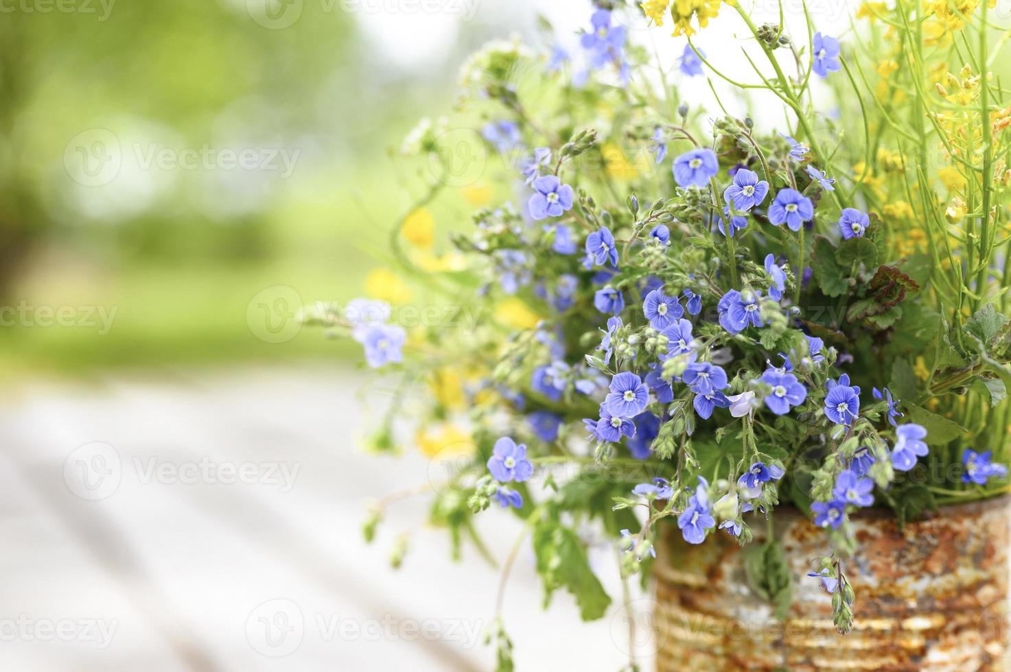 margherite fiori selvatici cottagecore bouquet bloom foto