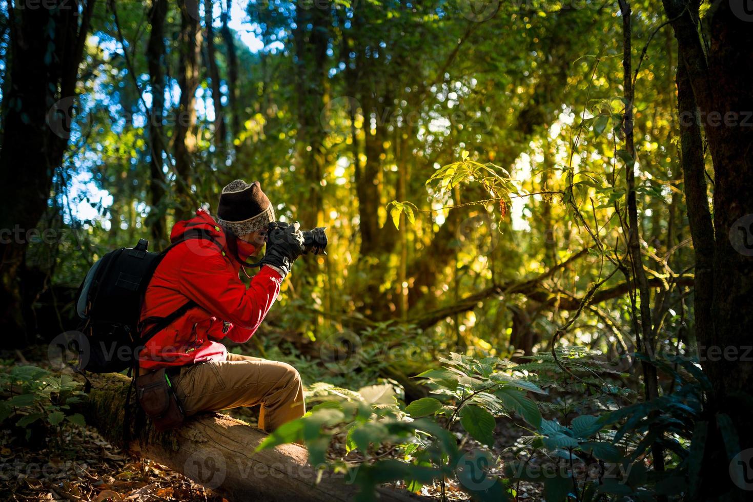 fotografo professionista scatta foto con la fotocamera nella foresta