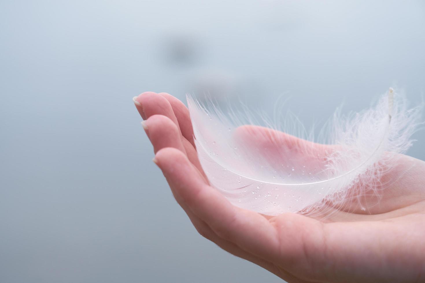 piuma di cigno bianco su una mano di una donna bianca foto