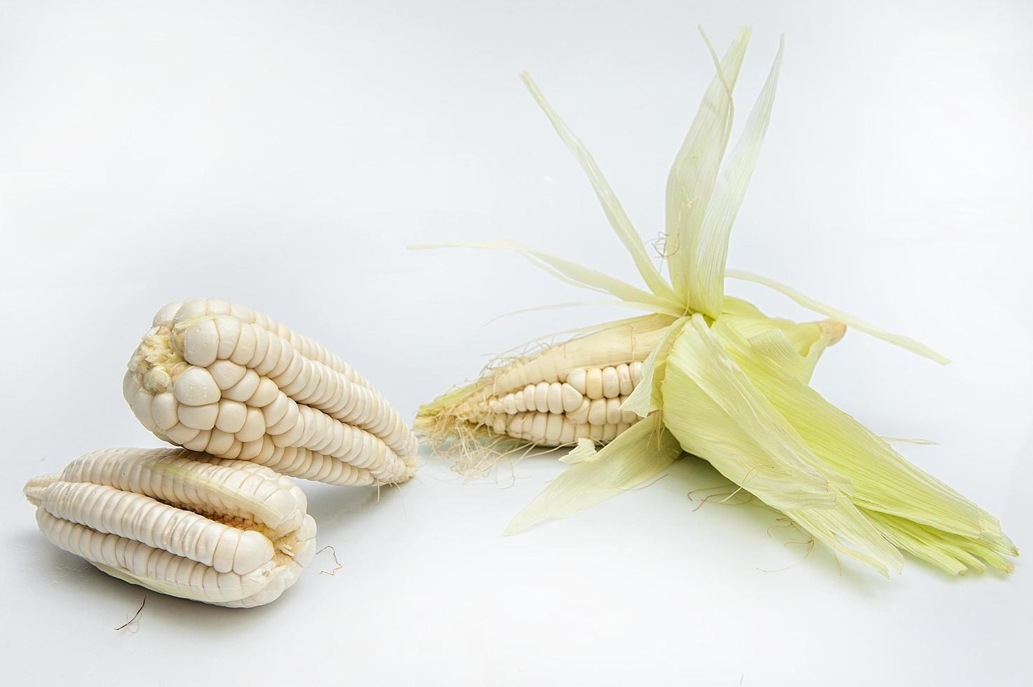 choclo mais gigante bianco su sfondo bianco foto