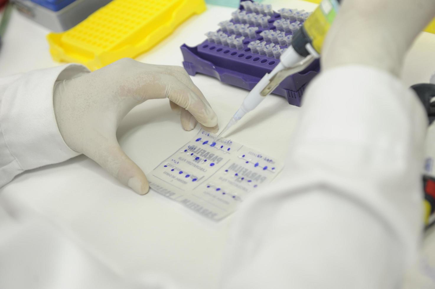 dottore di ricerca e scienza in laboratorio foto