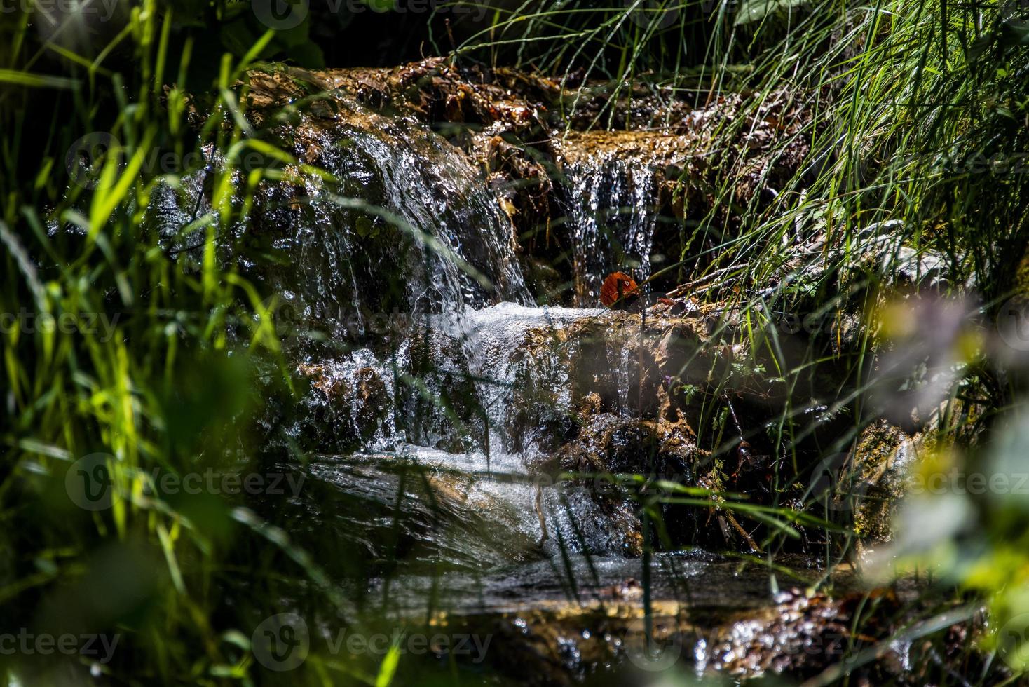 ruscello di montagna con erba foto