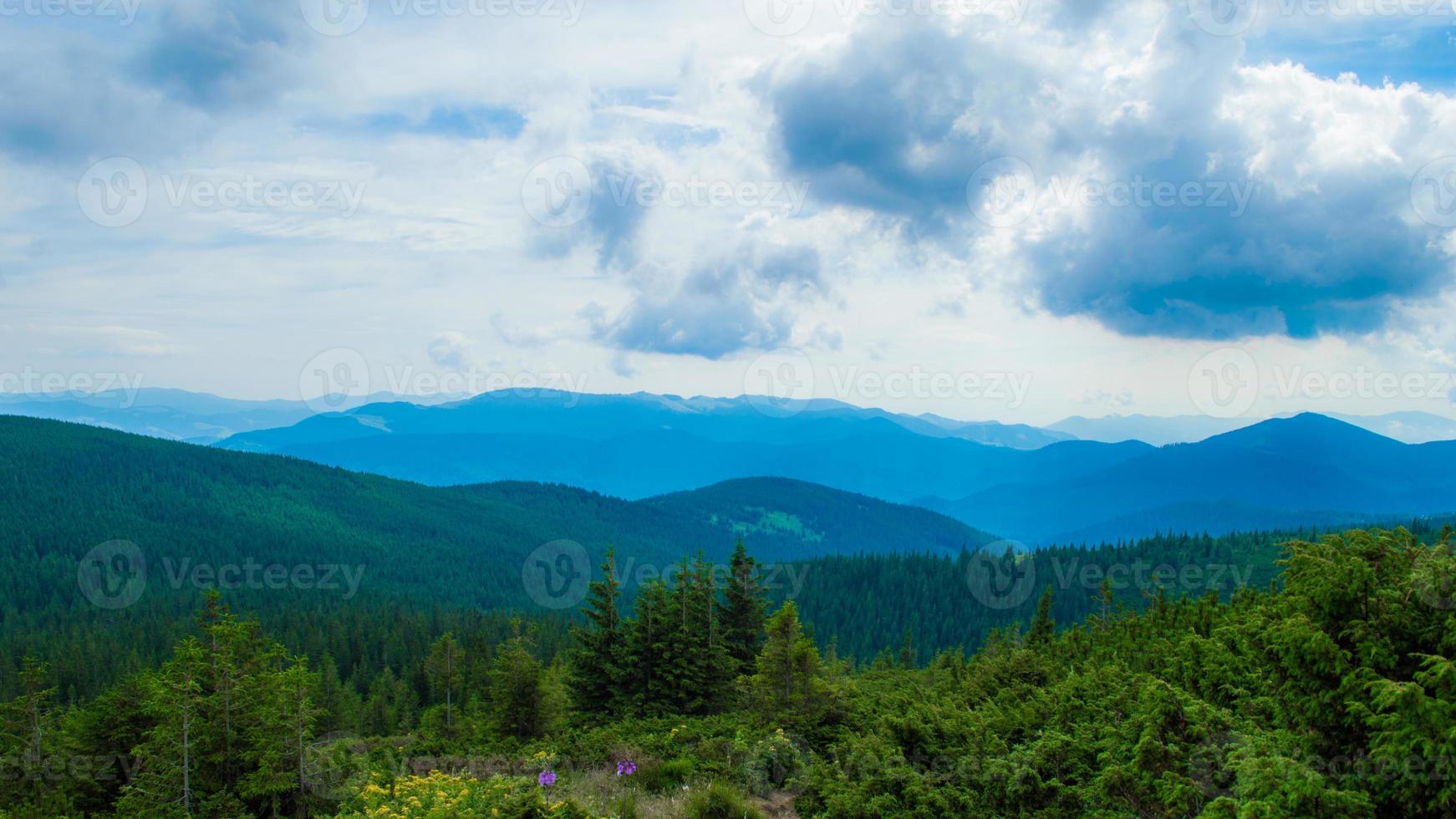 panorama delle montagne carpatiche di verdi colline in montagna estiva foto