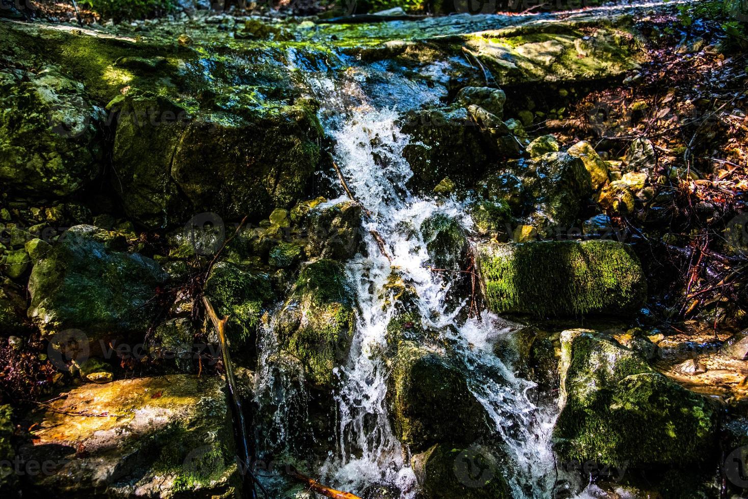 ruscello di montagna con erba foto