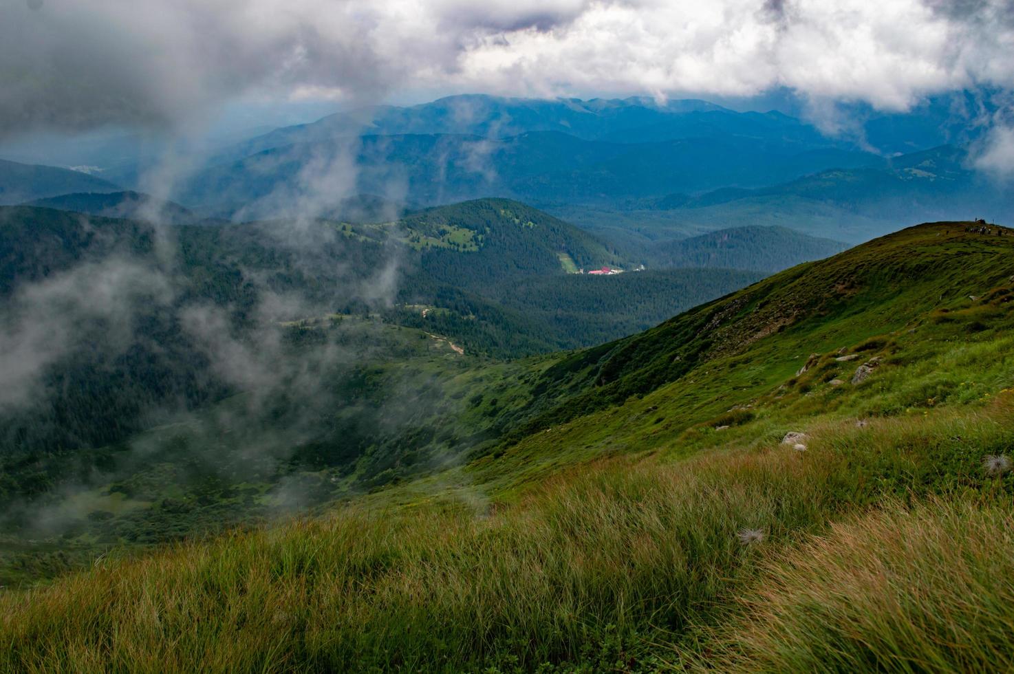 panorama delle montagne carpatiche di verdi colline in montagna estiva foto