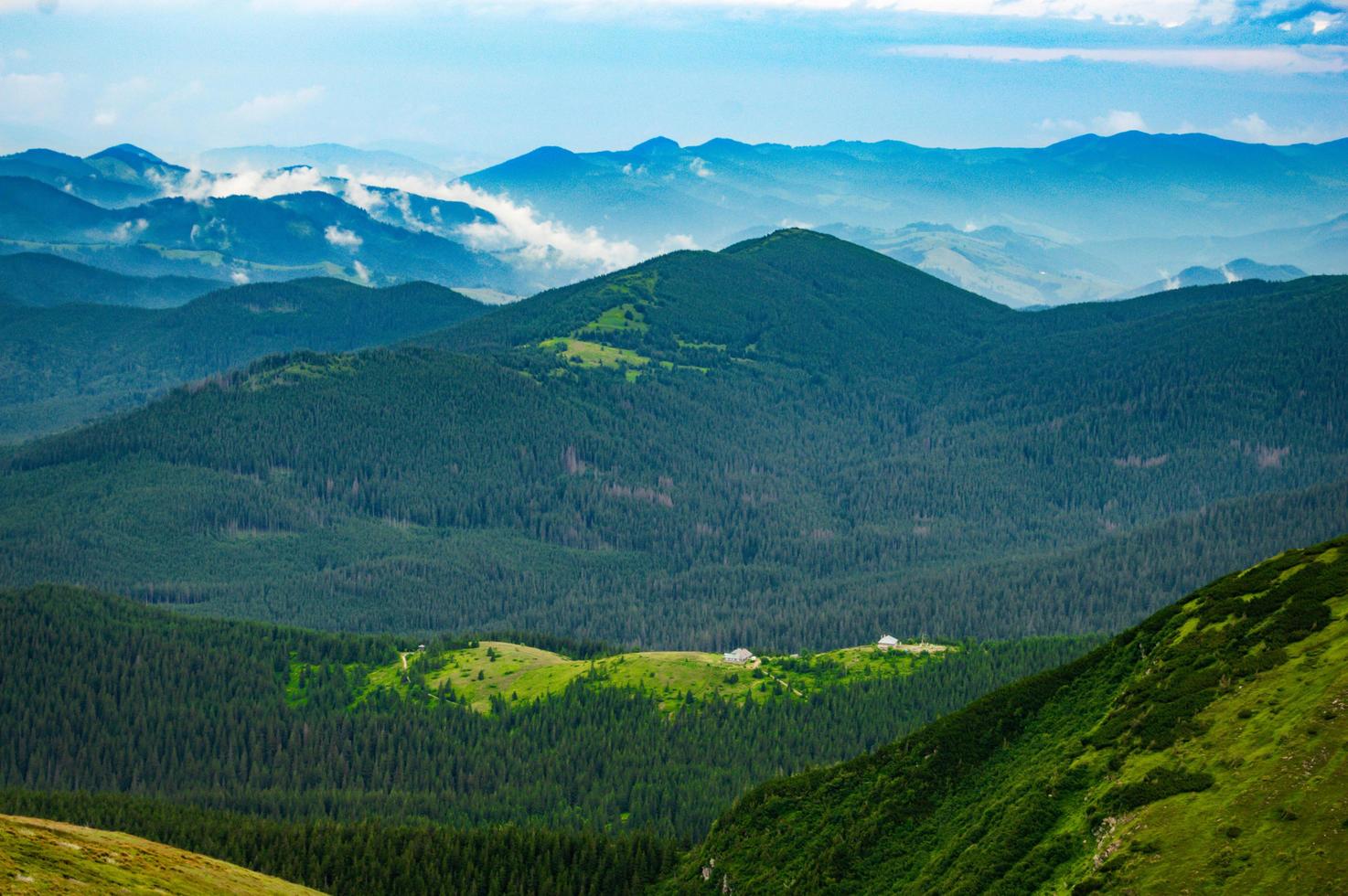 panorama delle montagne carpatiche di verdi colline in montagna estiva foto