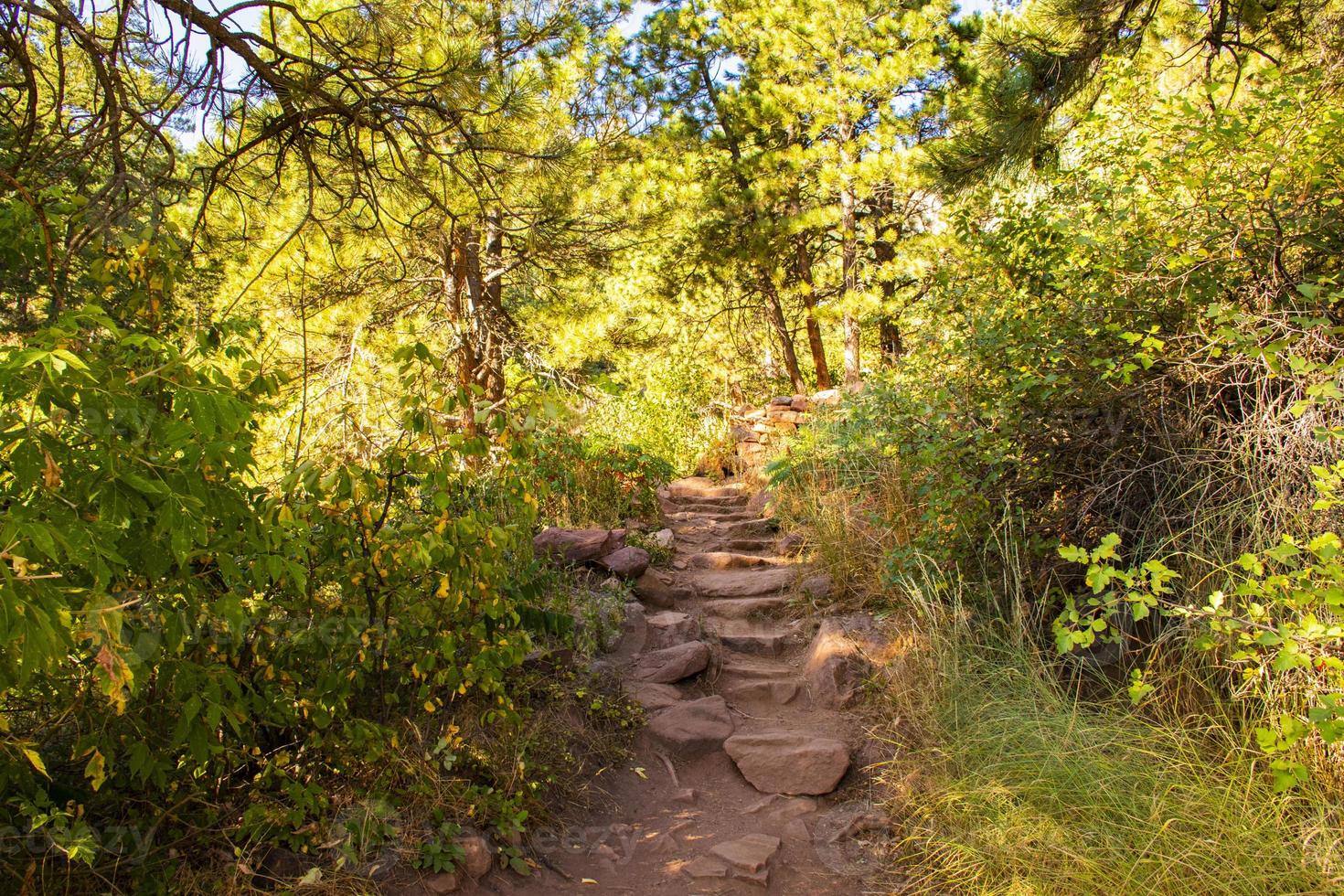 giornata estiva nel parco chautauqua a boulder, colorado foto