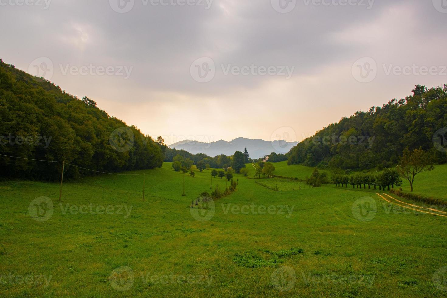 valle lussureggiante sulle colline fuori vicenza, italia foto