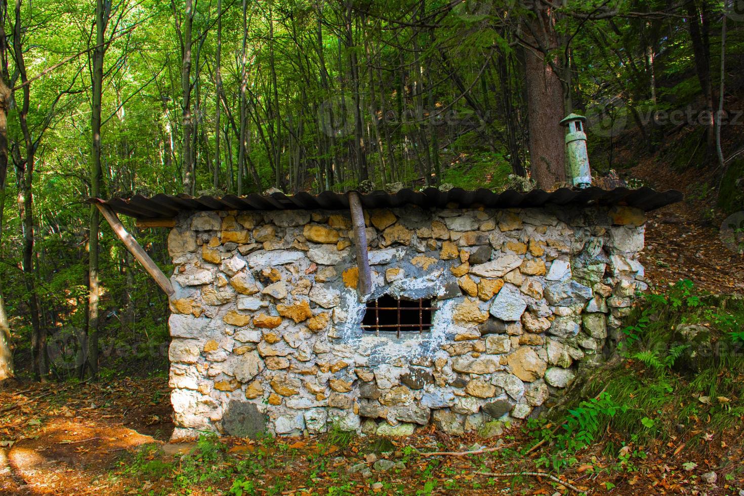 capannone nel bosco foto