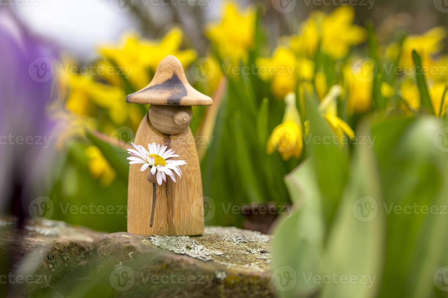 la figura di un elfo di legno con una margherita in mano è in piedi su un'aiuola di fronte a fiori sfocati foto