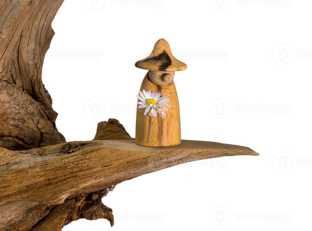 gnomo di legno tornito con una margherita in mano si erge su un vecchio ceppo di albero foto