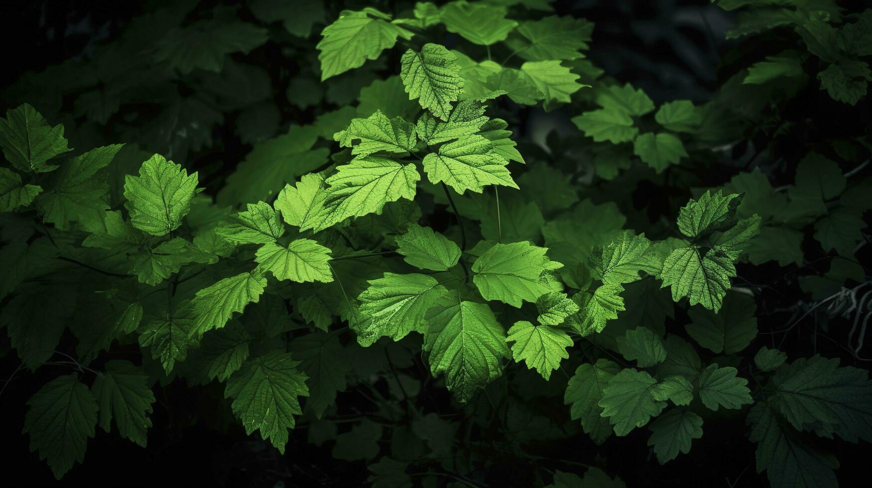 terra giorno e mondo ambiente giorno, molla, tropicale albero le foglie e ramo con bellissimo verde foresta sfondo, creare ai foto