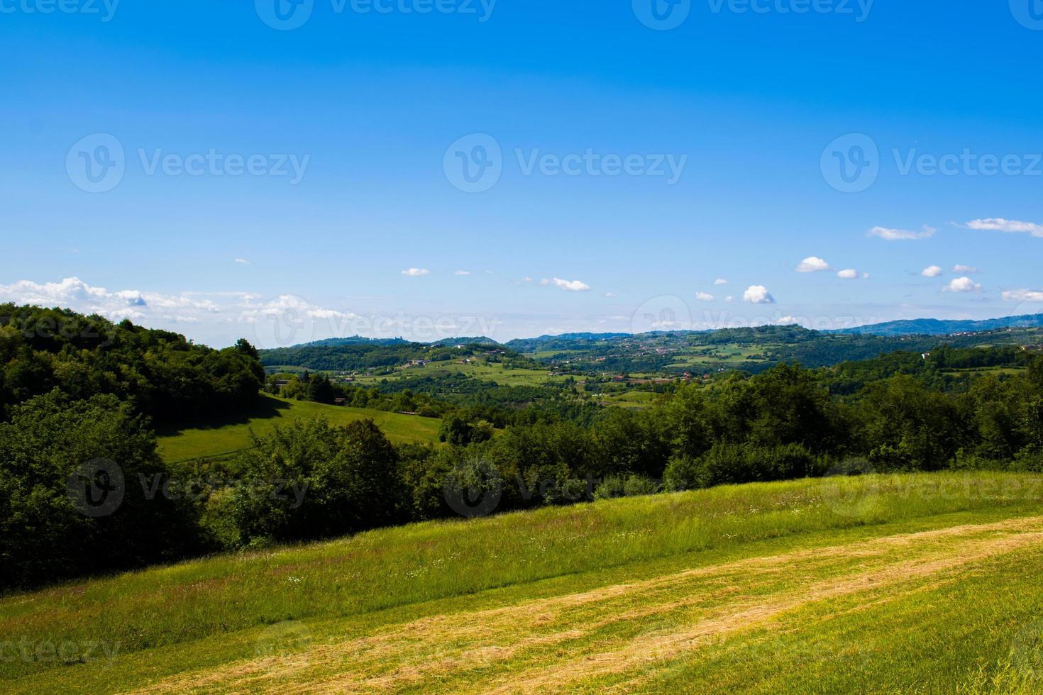 prati verdi e cielo azzurro foto