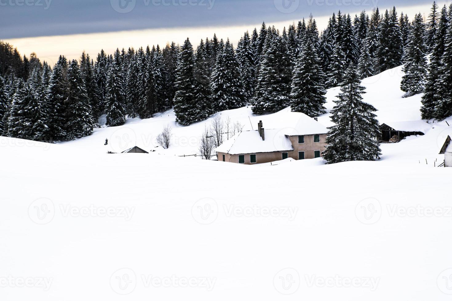 casa abbandonata e coperta di neve in inverno foto