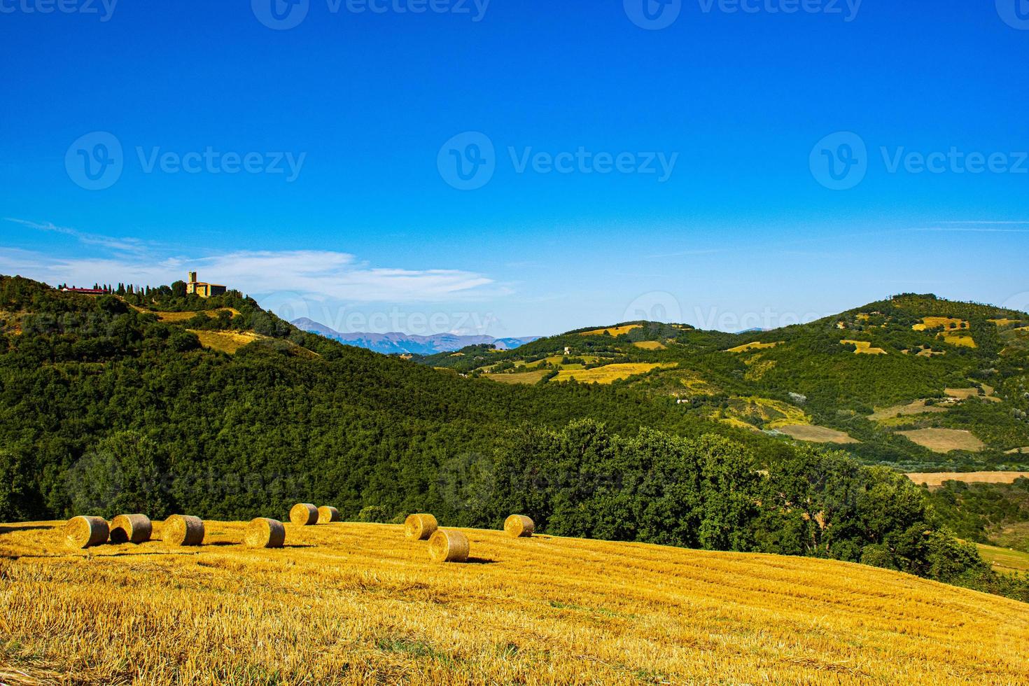 campi gialli e castello foto