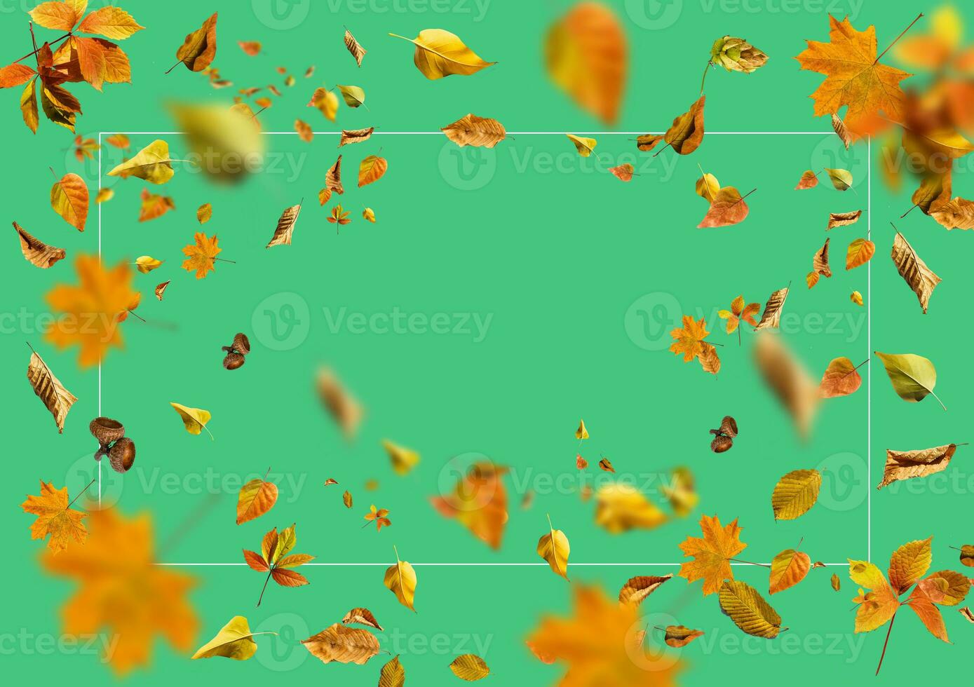 collezione impostato di bellissimo colorato autunno le foglie isolato su verde sfondo foto