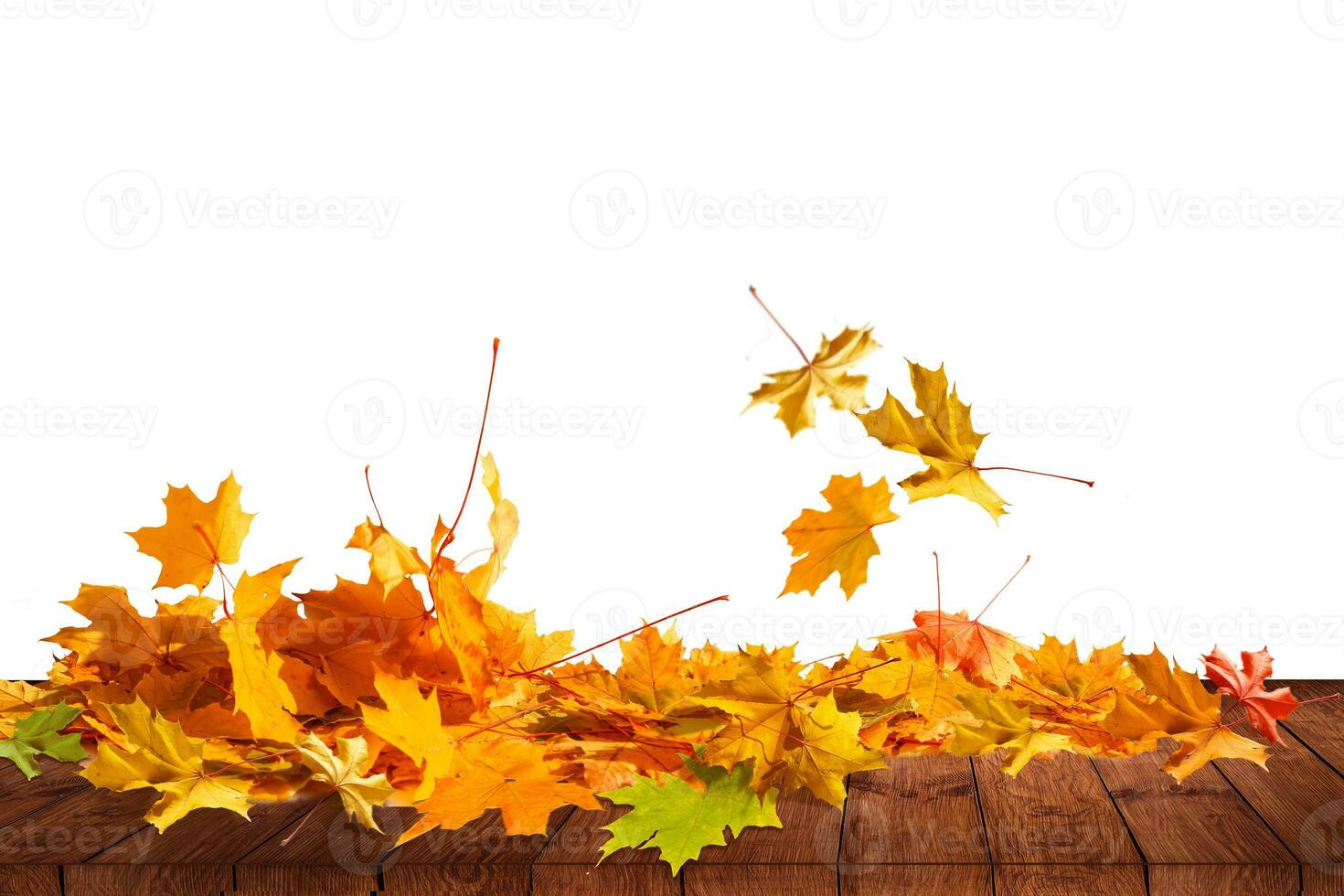 mucchio di autunno colorato le foglie isolato su bianca sfondo.a mucchio di diverso acero asciutto foglia. rosso e colorato fogliame colori nel il autunno stagione foto