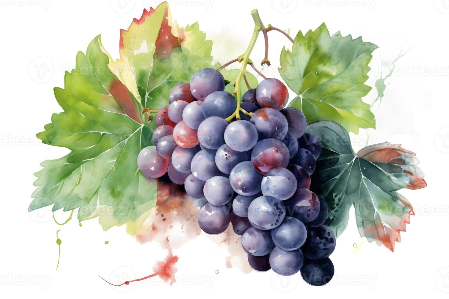 mazzo di uva e le foglie su bianca sfondo, acquerello illustrazione. ai generato. foto